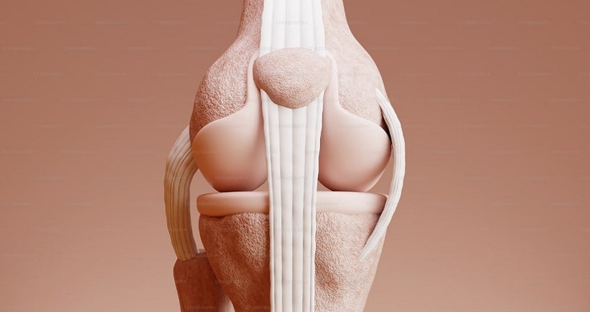 Best Hospital For Knee Replacement Surgery In Mumbai.jpg