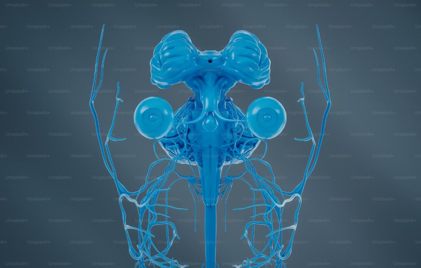 Best Hospital In Chennai For Cervical Spondylosis.jpg