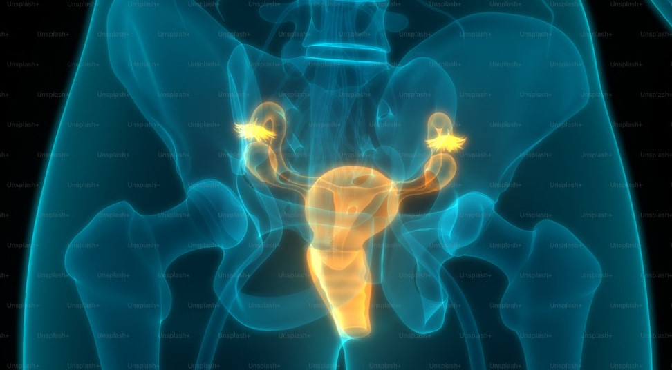 Best Hospital In Kolkata For Cervical Spondylosis.jpg